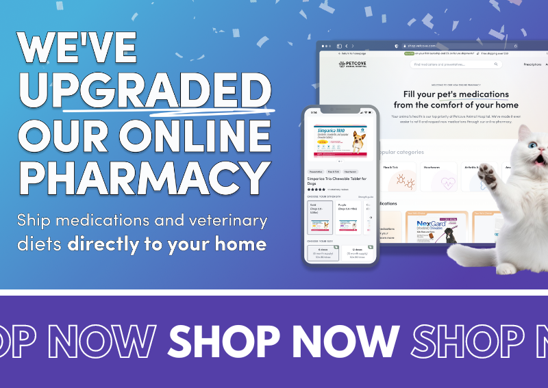 Carousel Slide 2: Check out our new and improved online pet pharmacy!